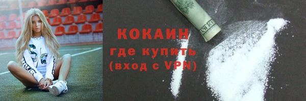 мдпв Касимов