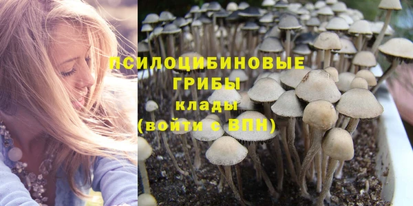 мдпв Касимов