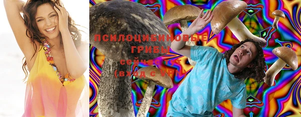 мдпв Касимов