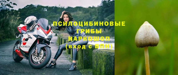 spice Карпинск