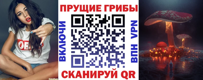 Псилоцибиновые грибы MAGIC MUSHROOMS  Купить где  Россошь 